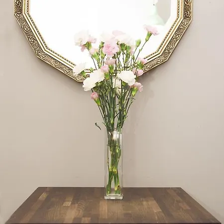 Octopus 그단스크