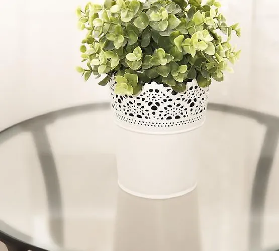 旅馆 格但斯克奥克托普斯旅舍 *